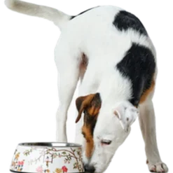 Dog & Cat Feeding Bowl Mogami Melamine Print Pattern 160 ml