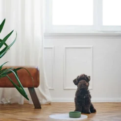 Dog & Cat Feeding Bowl Osby Ceramic Green 1100 ml
