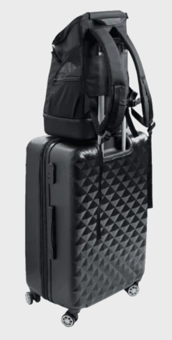 Dog & Cat Flight Bag/Backpack Miles Black 30x22x45cm - Max Vekt 6,5kg