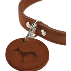 Dog Collar Aalborg Black Small/Medium