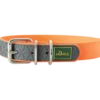 Dog Collar Convenience Neon