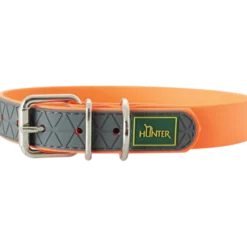 Dog Collar Convenience Neon