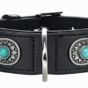 Dog Collar Sioux/