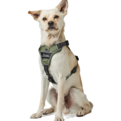 Dog Harness Divo Red XS