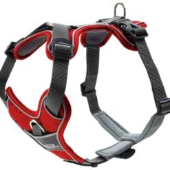 Dog Harness Divo Red XS