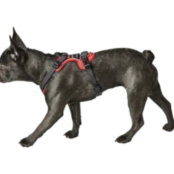 Dog Harness Divo Red XS