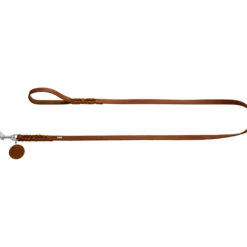 Dog Leash Solid Education Brown 200 cm, 16 mm