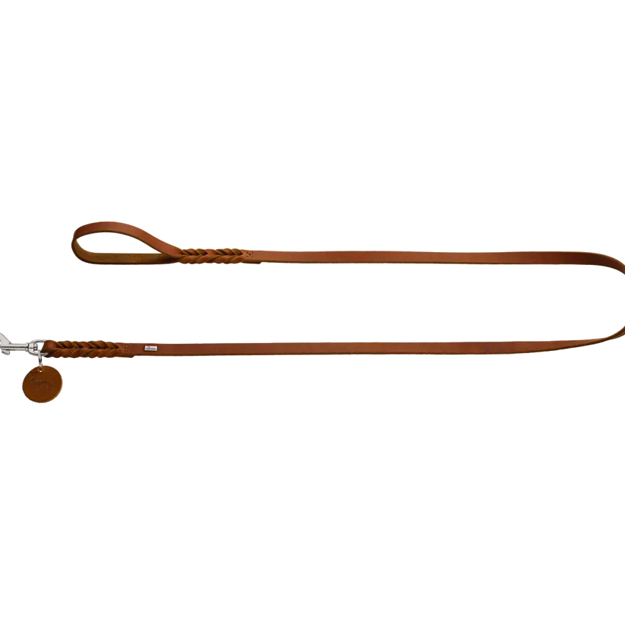 Dog Leash Solid Education Brown 200 cm, 16 mm