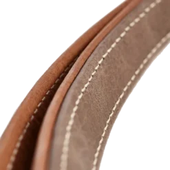 Dog Leash Training Porto Brown 200 cm, 20 mm
