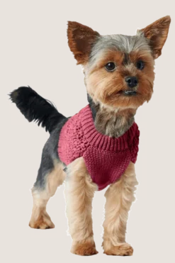 Dog Pullover Malmö Bordeaux 35cm