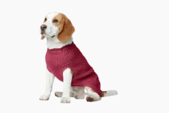 Dog Pullover Malmö Bordeaux 35cm