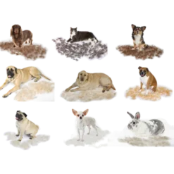 Dog Short Hair DeShedding Tool