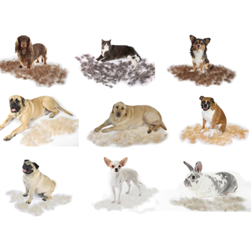 Dog Short Hair DeShedding Tool
