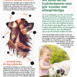 Dog Special Balsam Spray 250 ml