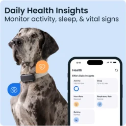 DOG 6 XL GPS Svart