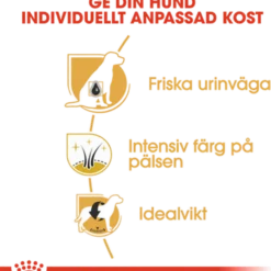 Dvergschnauzer Adult tørrfôr for hunder 3 kg