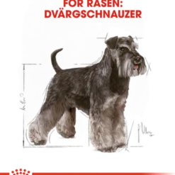 Dvergschnauzer Adult tørrfôr for hunder 3 kg