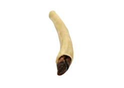 Elgkule