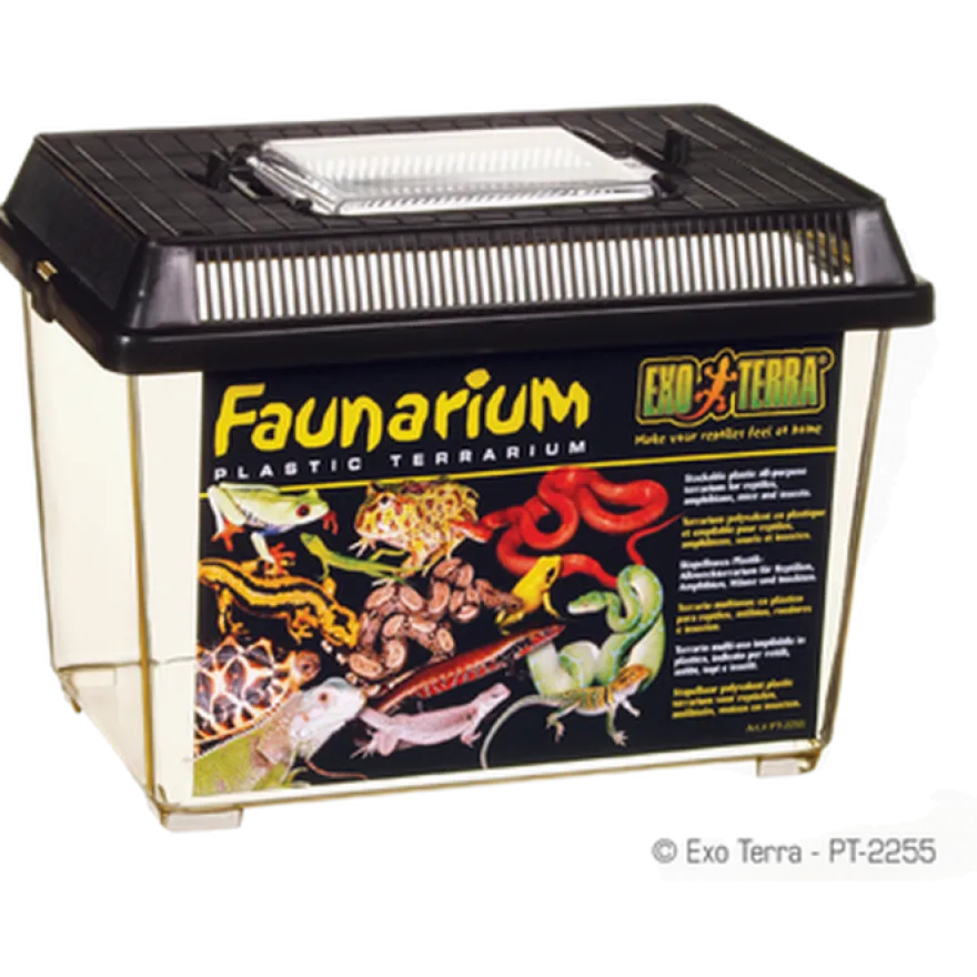 Faunarium Nr 1, 18x11x14cm - Terrarium i plast