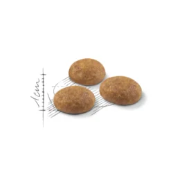 Feline Active Life Outdoor 4 kg