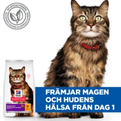 Feline Adult Sen.Stomach & Skin Chicken 3kg