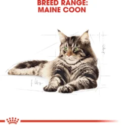 Feline Breed Wet Maine Coon Gravy 85 g x 12 stk - porsjonsposer