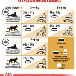 Feline britisk korthår 10 kg