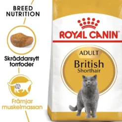 Feline britisk korthår 10 kg