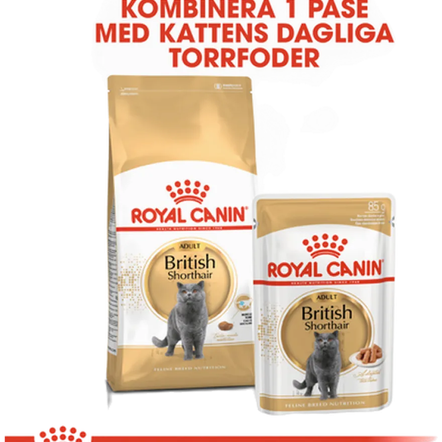 Feline britisk korthår 2 kg