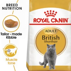 Feline britisk korthår 2 kg