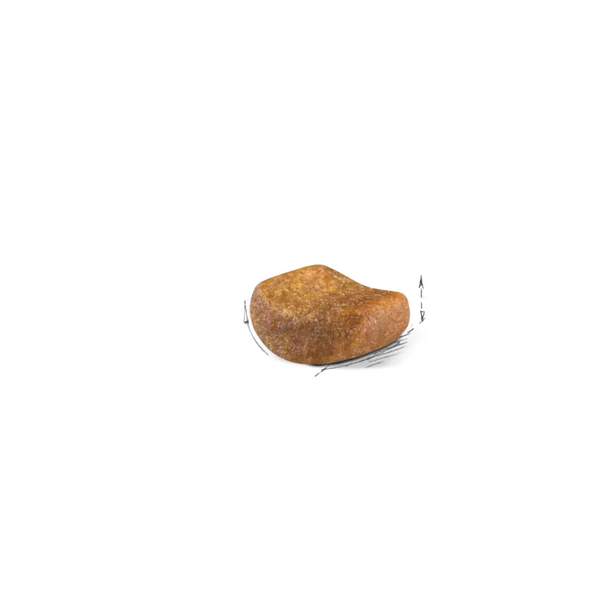 Feline britisk korthår 2 kg