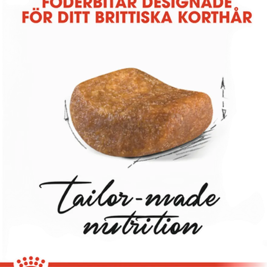 Feline britisk korthår 2 kg