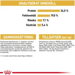 Feline britisk korthår 2 kg