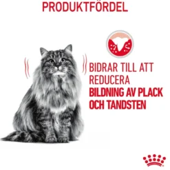 Feline Dental Care-tørrfôr til katter 8 kg