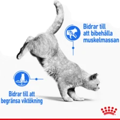Feline Light Weight Care tørrfôr til katter 1,5 kg