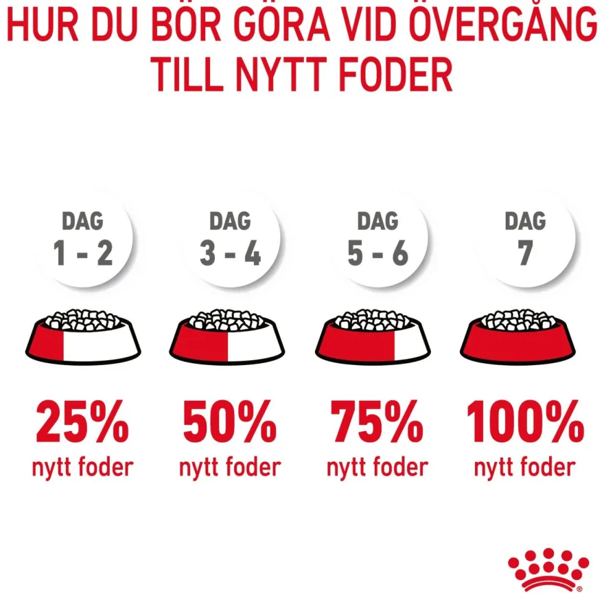 Feline Regular Appetite Control 10 kg