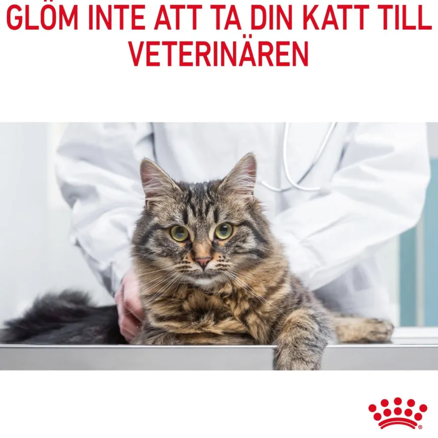 Feline Regular Appetite Control 10 kg