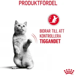 Feline Regular Appetite Control 10 kg