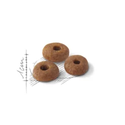 Feline Regular Fit 32 10 kg