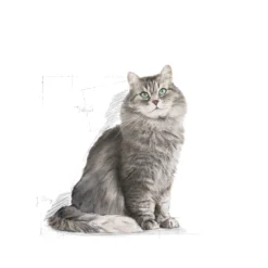 Feline Regular Sensible 33 10 kg