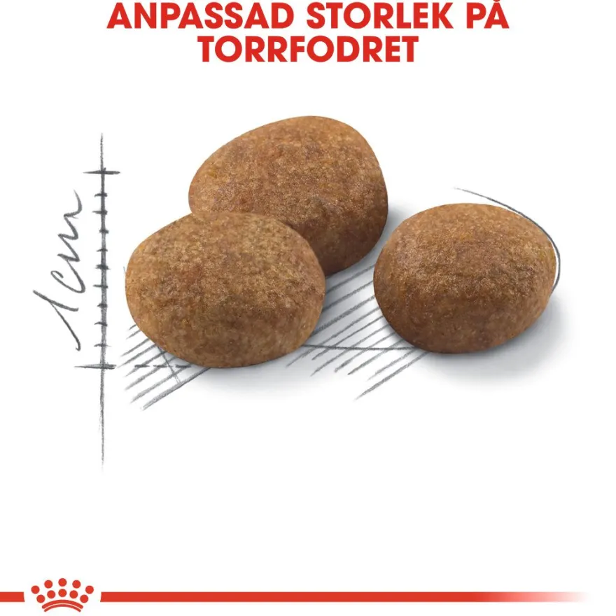 Feline Regular Sterilisert +7 1,5 kg
