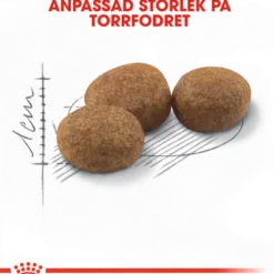 Feline Regular Sterilisert 37 10kg + 2 kg