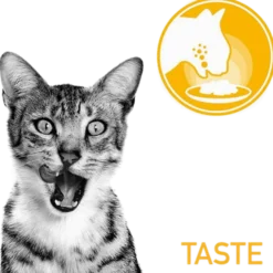 Feline Sensory Blandingsboks Saus 85g x 12 stk - porsjonsposer