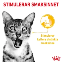 Feline Sensory Taste Gravy 85 g x 12 stk - porsjonsposer