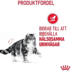 Feline Urinary Care tørrfôr til katter 10 kg