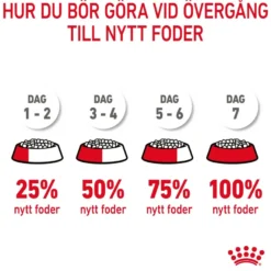 Feline Urinary Care tørrfôr til katter 10 kg