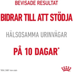 Feline Urinary Care tørrfôr til katter 4 kg