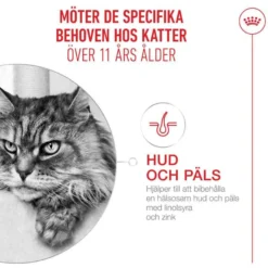 FHN Ageing 11+ Mousse 85 g