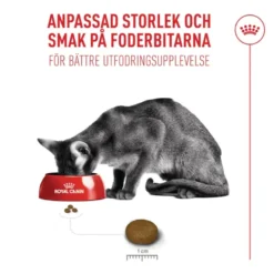 FHN Fussy tørrfôr for katter 400 g