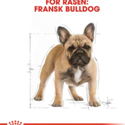 Fransk Bulldog Adult tørrfôr 9 kg
